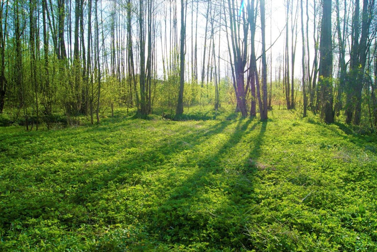Losiowate Gospodarstwo Agroturystyczne Rybaki  Exterior foto