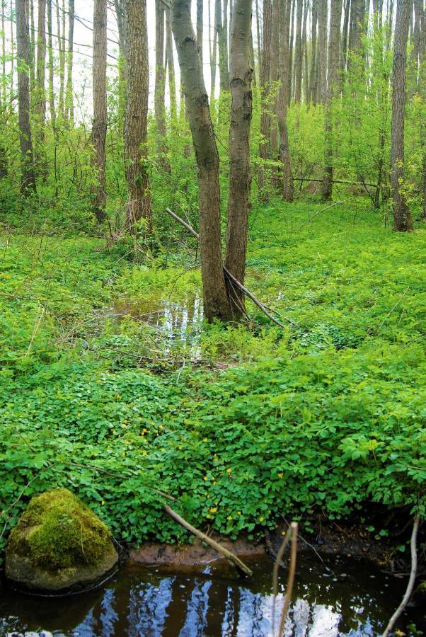 Losiowate Gospodarstwo Agroturystyczne Rybaki  Exterior foto
