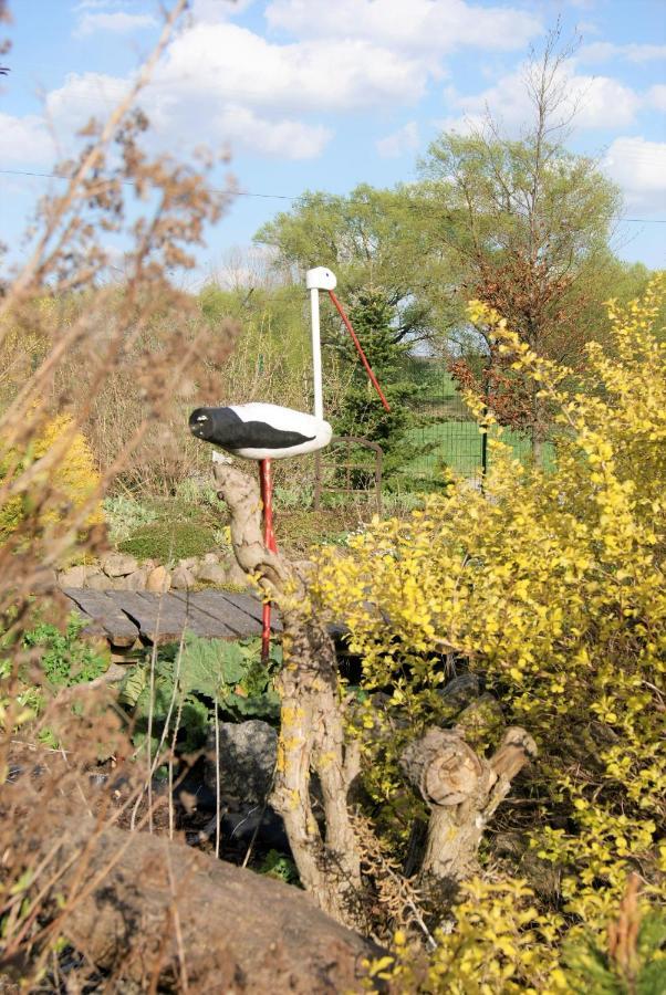 Losiowate Gospodarstwo Agroturystyczne Rybaki  Exterior foto